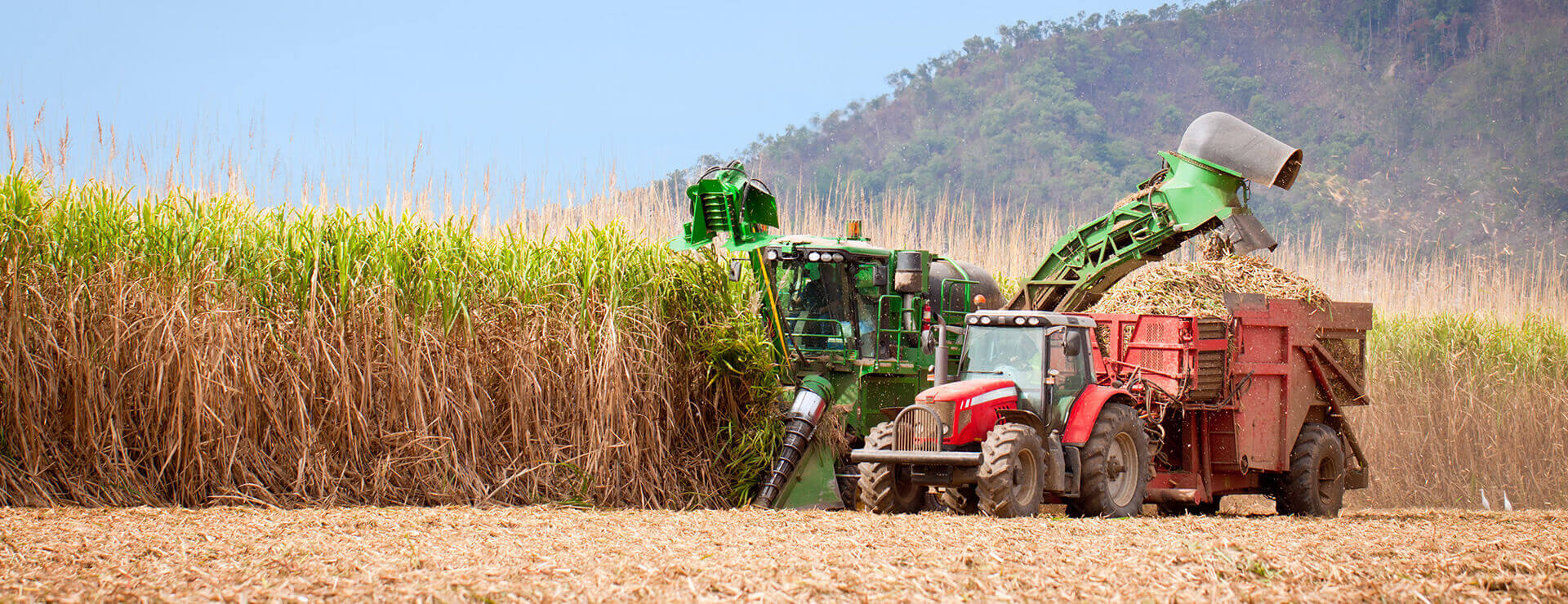 Planting Equipment
